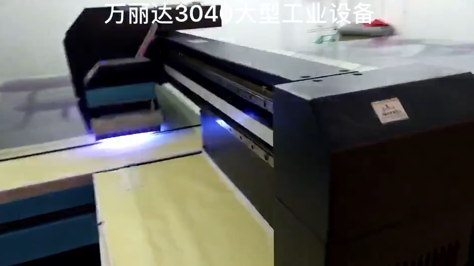 Wan Lida customers printing videos