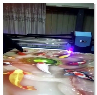 Wanlida Imprimiendo videos de 2