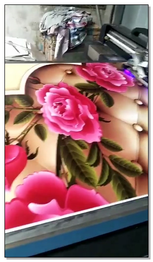 Wanlida Imprimiendo videos de 7