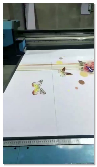 Wanlida Imprimiendo videos de 11