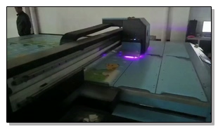 Wanlida Imprimiendo videos de 12