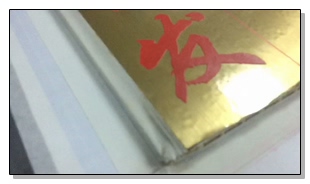 Wanlida Imprimiendo videos de 14