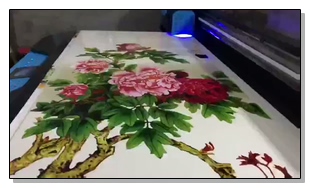 Wanlida Imprimiendo videos de 17