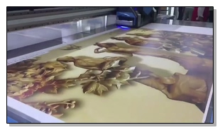 Wanlida Imprimiendo videos de 21