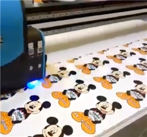 imprimiendo videos xnumx